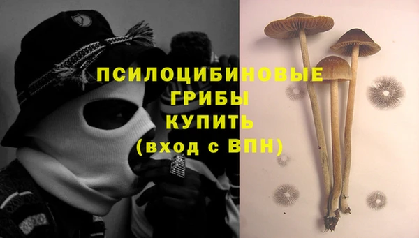 гашик Покровск