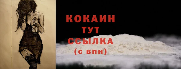 гашик Покровск