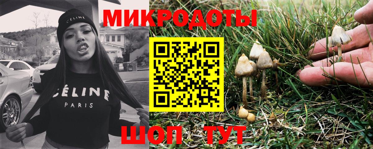 Галлюциногенные грибы GOLDEN TEACHER Борисоглебск