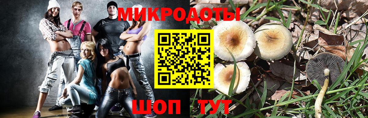 Галлюциногенные грибы прущие грибы Борисоглебск