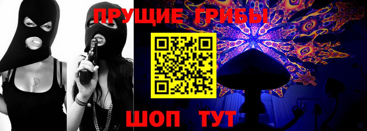Псилоцибиновые грибы Cubensis  Вход с VPN  Борисоглебск 