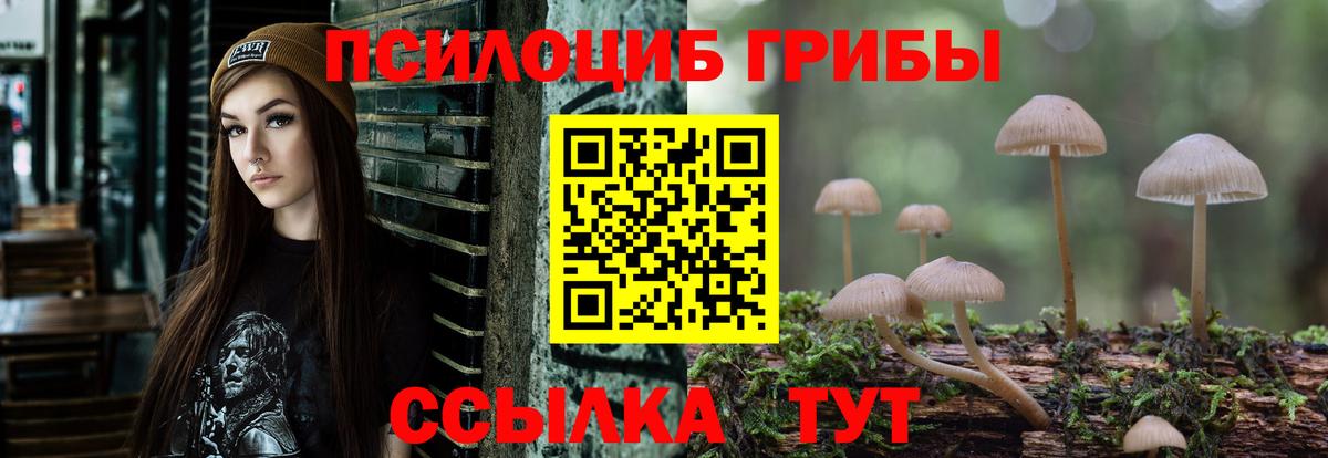 Псилоцибиновые грибы Magic Shrooms  Борисоглебск  Галлюциногенные грибы GOLDEN TEACHER 